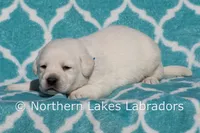 processed/4dbf1fb5-0dfe-4228-93f4-cfac9f049294/listing/e51ff22c-a210-46f1-9055-ea918eb62a9d/f955b115-cd4b-4a75-9287-e03d8d6e8ddc