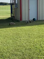 Facility photo