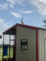 Facility photo