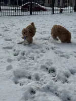 processed/4dcdb5e5-afc3-4b3f-8370-c5c764846a84/listing/533b5a49-548b-4ba2-ba4b-8e4b73743638/1a4cf12a-7324-4cc9-87dd-ad2510d3a45e