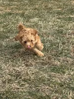 processed/4dcdb5e5-afc3-4b3f-8370-c5c764846a84/listing/533b5a49-548b-4ba2-ba4b-8e4b73743638/7a82decd-7961-449f-a292-dc1f0e463217