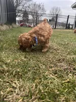 processed/4dcdb5e5-afc3-4b3f-8370-c5c764846a84/listing/533b5a49-548b-4ba2-ba4b-8e4b73743638/d171d51a-f2df-459b-89e2-0ef800094c45