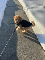 processed/4dcdb5e5-afc3-4b3f-8370-c5c764846a84/listing/cd3ab96e-9dd0-4f00-b1fc-7ed749452528/145c0fa1-ac92-44bd-bca8-2417e817e75e