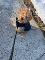 processed/4dcdb5e5-afc3-4b3f-8370-c5c764846a84/listing/cd3ab96e-9dd0-4f00-b1fc-7ed749452528/ac108f20-d4ee-48b8-8746-5abe3caefdbc