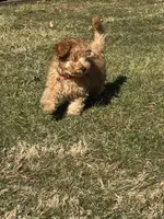 processed/4dcdb5e5-afc3-4b3f-8370-c5c764846a84/listing/cd3ab96e-9dd0-4f00-b1fc-7ed749452528/d51c6c83-55f6-47fb-b993-4c9604ad59d4