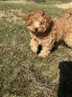 processed/4dcdb5e5-afc3-4b3f-8370-c5c764846a84/listing/cd3ab96e-9dd0-4f00-b1fc-7ed749452528/d5e1ddff-0ed6-4d59-8c1d-a2e6aa77608c