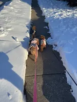 processed/4dcdb5e5-afc3-4b3f-8370-c5c764846a84/listing/cd3ab96e-9dd0-4f00-b1fc-7ed749452528/e7231868-1544-479a-9e63-07325b72e311