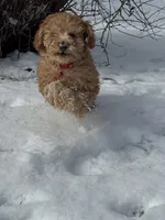 processed/4dcdb5e5-afc3-4b3f-8370-c5c764846a84/listing/cd3ab96e-9dd0-4f00-b1fc-7ed749452528/ec2c78a7-e756-40be-a8e4-18f7e0c41344