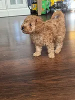 processed/4dcdb5e5-afc3-4b3f-8370-c5c764846a84/listing/cd3ab96e-9dd0-4f00-b1fc-7ed749452528/ef683e7c-ff01-49cc-8f28-e6a73d575327