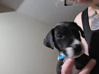 processed/4dcf8b14-0e41-454f-9ac9-f18aeb2969ce/listing/431c8c1b-9220-47b6-89a3-0f5fc2d791ec/369c2acf-813b-4651-99ef-47a44ef5c892