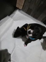 processed/4dcf8b14-0e41-454f-9ac9-f18aeb2969ce/listing/431c8c1b-9220-47b6-89a3-0f5fc2d791ec/4911a846-7eb9-49c3-ad7e-f3189e74973f