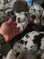 processed/4dcf8b14-0e41-454f-9ac9-f18aeb2969ce/listing/92a579b4-b531-4a2c-a23c-063e2a7631a4/0c1bc7ef-9ce9-43bb-be29-5726f3feac80