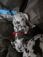 processed/4dcf8b14-0e41-454f-9ac9-f18aeb2969ce/listing/92a579b4-b531-4a2c-a23c-063e2a7631a4/5ca5f963-e5d0-41eb-9621-9dff18bdc13f