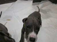 processed/4dcf8b14-0e41-454f-9ac9-f18aeb2969ce/listing/a930717b-07be-4415-bcb1-2406f81a7a1a/d6c7167c-6a96-48e4-bd65-be94753fd411