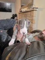 processed/4dcf8b14-0e41-454f-9ac9-f18aeb2969ce/listing/ab39c82c-db62-4b33-ae70-173a5cc9e751/9eeb93a6-33fc-4a06-aeff-2344b65d5c0a