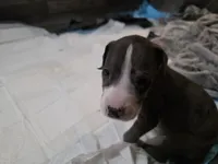 processed/4dcf8b14-0e41-454f-9ac9-f18aeb2969ce/listing/ab39c82c-db62-4b33-ae70-173a5cc9e751/db776504-0bc0-4689-8f55-4857a9a1c6ef