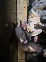 processed/4dcf8b14-0e41-454f-9ac9-f18aeb2969ce/listing/b1fad90c-777c-45da-a8d5-c59f16ed649f/8e81d120-e577-4d2a-86d4-72e6756bc3e1