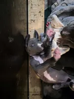 processed/4dcf8b14-0e41-454f-9ac9-f18aeb2969ce/listing/b1fad90c-777c-45da-a8d5-c59f16ed649f/ca6a3149-60ac-41af-84ac-b4ca29ea7f55