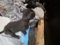 processed/4dcf8b14-0e41-454f-9ac9-f18aeb2969ce/listing/bff5ec11-d8fd-4c37-b231-bd8fac443422/19ccadc8-8a00-4247-b04b-bf19173c74f9