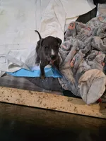 processed/4dcf8b14-0e41-454f-9ac9-f18aeb2969ce/listing/bff5ec11-d8fd-4c37-b231-bd8fac443422/e971bada-ca82-4859-aba8-435852ec623a