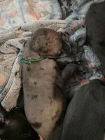 processed/4dcf8b14-0e41-454f-9ac9-f18aeb2969ce/listing/e409f9b1-f664-43a4-80d6-a4c528a04078/3b567350-a016-4c47-9fef-da7252a11ac4