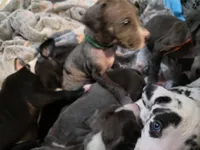 processed/4dcf8b14-0e41-454f-9ac9-f18aeb2969ce/listing/e409f9b1-f664-43a4-80d6-a4c528a04078/6509e186-440d-4640-b402-4fcfe64b9b23