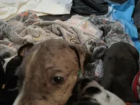 processed/4dcf8b14-0e41-454f-9ac9-f18aeb2969ce/listing/e409f9b1-f664-43a4-80d6-a4c528a04078/f052da0a-fb56-4539-bc13-0f60e797ab02