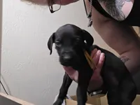 processed/4dcf8b14-0e41-454f-9ac9-f18aeb2969ce/listing/f9d69176-6470-41a6-ab4b-d7919694bdf9/0a2698f6-4aa1-4ab3-b440-71cc311e874f