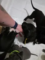 processed/4dcf8b14-0e41-454f-9ac9-f18aeb2969ce/listing/f9d69176-6470-41a6-ab4b-d7919694bdf9/b41f88d0-6edd-40d8-a4c8-7c92e1746078