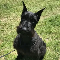 processed/4dd0a570-721a-4177-8216-840c4fbc5042/facility/0bf5cb44-3f75-4b8a-b74a-3dca7064166c