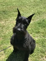 processed/4dd0a570-721a-4177-8216-840c4fbc5042/facility/0bf5cb44-3f75-4b8a-b74a-3dca7064166c