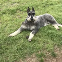 processed/4dd0a570-721a-4177-8216-840c4fbc5042/facility/3384e746-f543-41d4-abd5-2c9e2b0b2e40