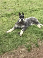 processed/4dd0a570-721a-4177-8216-840c4fbc5042/facility/3384e746-f543-41d4-abd5-2c9e2b0b2e40