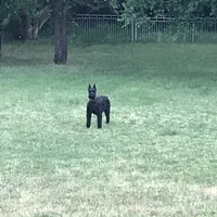 processed/4dd0a570-721a-4177-8216-840c4fbc5042/facility/439327d2-1771-40aa-8686-c222fcbcd593