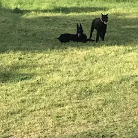 processed/4dd0a570-721a-4177-8216-840c4fbc5042/facility/668fddac-505a-45ca-b1d1-f25f71f3a12a