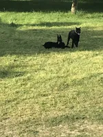 processed/4dd0a570-721a-4177-8216-840c4fbc5042/facility/668fddac-505a-45ca-b1d1-f25f71f3a12a