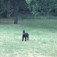 processed/4dd0a570-721a-4177-8216-840c4fbc5042/facility/7ecd871c-5831-49b3-b27f-3e8a720d3c64