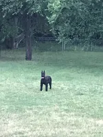 processed/4dd0a570-721a-4177-8216-840c4fbc5042/facility/7ecd871c-5831-49b3-b27f-3e8a720d3c64