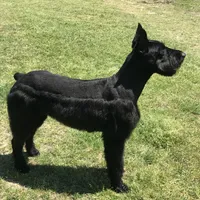 processed/4dd0a570-721a-4177-8216-840c4fbc5042/facility/9b04f4b4-3206-46f2-be9b-bdafa33e7389