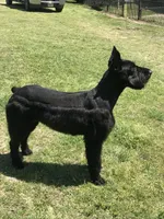 processed/4dd0a570-721a-4177-8216-840c4fbc5042/facility/9b04f4b4-3206-46f2-be9b-bdafa33e7389