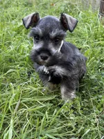 processed/4dd0a570-721a-4177-8216-840c4fbc5042/listing/6553b681-e0df-4e71-a78b-248c7844b08c/0653d509-8b02-4545-84b7-ee6c793e2774