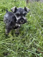 processed/4dd0a570-721a-4177-8216-840c4fbc5042/listing/6553b681-e0df-4e71-a78b-248c7844b08c/3cf5c091-0ac1-4cdc-80f9-54113bb7d46a