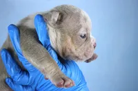 processed/4dd443c8-e511-45dd-9f85-13bfe7f8f8be/listing/04a28803-a6d6-4123-ae72-c564ff778781/b12daeea-96a1-4fc0-b8d7-c655b479a20f