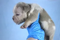 processed/4dd443c8-e511-45dd-9f85-13bfe7f8f8be/listing/04a28803-a6d6-4123-ae72-c564ff778781/d5fdda47-9455-434c-aba9-40b804115d89