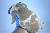 processed/4dd443c8-e511-45dd-9f85-13bfe7f8f8be/listing/04a28803-a6d6-4123-ae72-c564ff778781/e2493202-48f0-449f-b91c-406280af228f