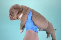 processed/4dd443c8-e511-45dd-9f85-13bfe7f8f8be/listing/584f0192-56b0-4c46-802c-52f816b8ac14/15c8020e-ca46-4702-b901-c4933f7f05cf