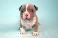 processed/4dd443c8-e511-45dd-9f85-13bfe7f8f8be/listing/584f0192-56b0-4c46-802c-52f816b8ac14/16a8c97f-15db-4e16-90b1-2c32d3fc458c