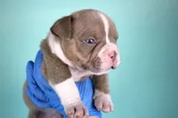 processed/4dd443c8-e511-45dd-9f85-13bfe7f8f8be/listing/584f0192-56b0-4c46-802c-52f816b8ac14/19669b11-68c9-4979-9c3f-ce9204134004