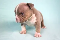 processed/4dd443c8-e511-45dd-9f85-13bfe7f8f8be/listing/584f0192-56b0-4c46-802c-52f816b8ac14/27714fed-dab5-4269-9fdb-b806ebcc9d29