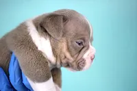 processed/4dd443c8-e511-45dd-9f85-13bfe7f8f8be/listing/584f0192-56b0-4c46-802c-52f816b8ac14/44be9d1e-cbb2-4560-b14a-85760f85fad4